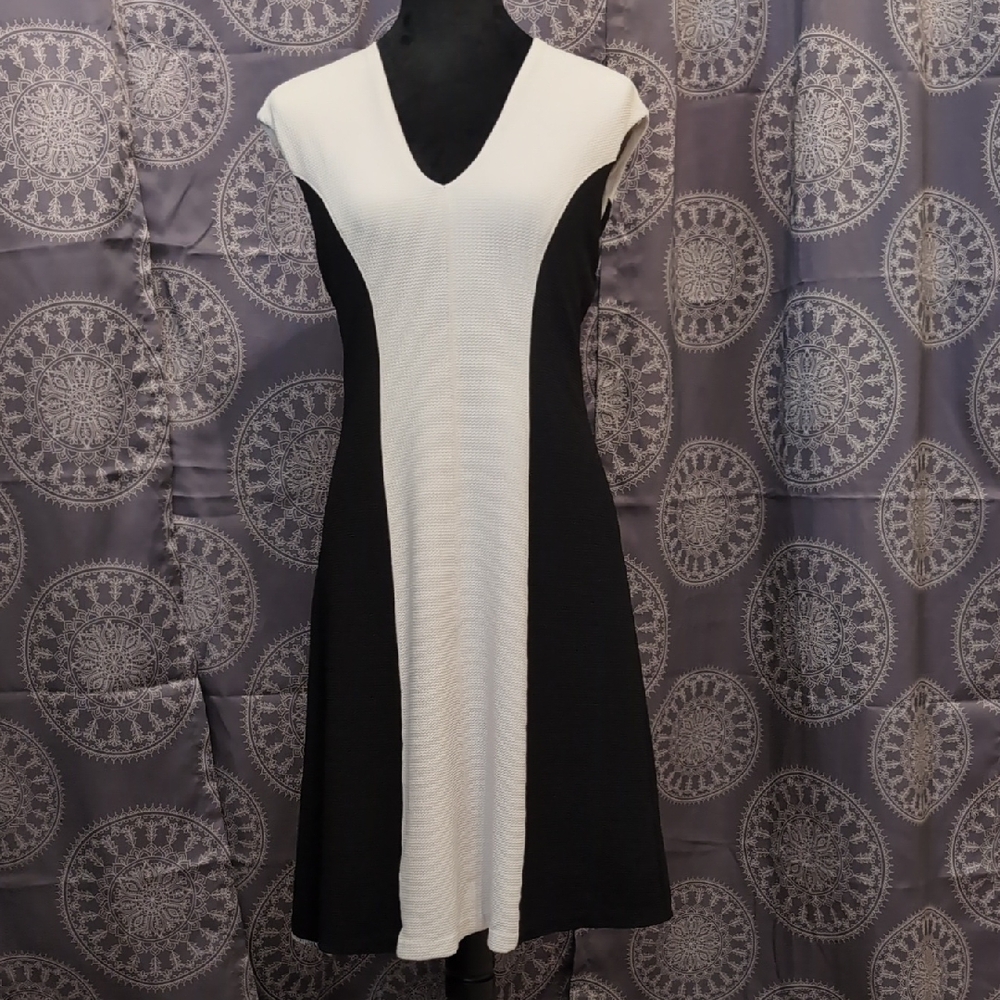 Black & White Colorblock Dress